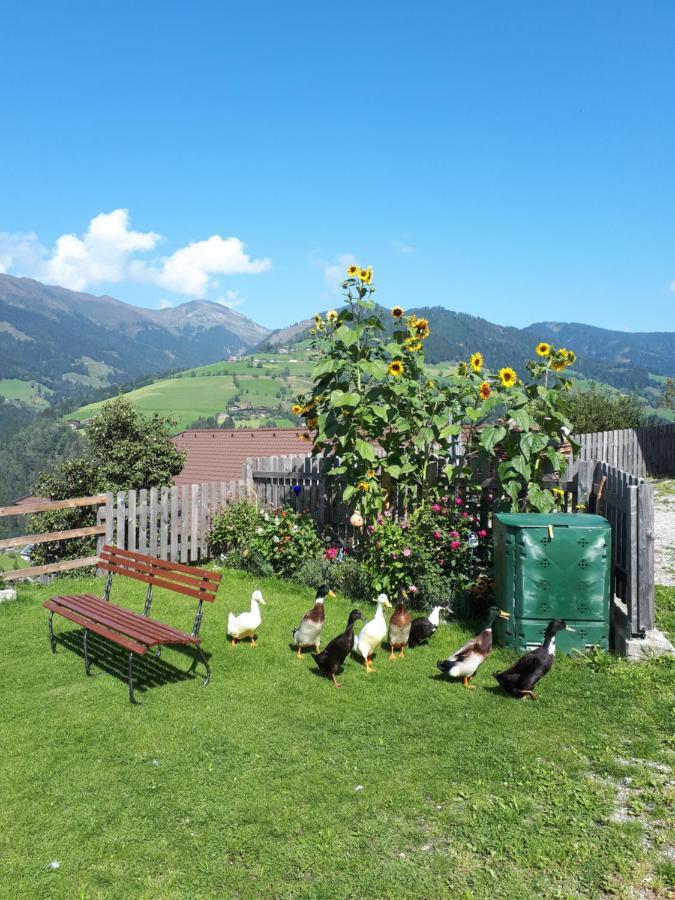 Ferienhaus Unterblasbichl Βίλα Fusch an der Glocknerstraße Εξωτερικό φωτογραφία